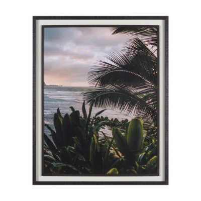 16289 - Kauai Jungle Dream by Stefan and Audrey Textured Framed Photo Print Matted under Glass