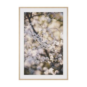 Wilde Prunus by Zaira Zarotti Textured Framed Photo Print Matted under Glass