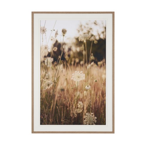 16315 - Wild Carrot Flowers by Zaira Zarotti Textured Framed Photo Print Matted under Glass