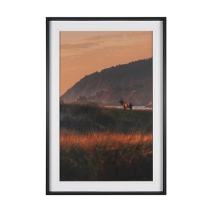 Elk by Stefan and Audrey Textured Framed Photo Print Matted under Glass