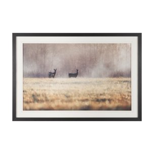 Distant Duo by Andreas Stridsberg Framed Photo Print Matted under Glass