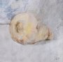 16306 - Dynasty Bloom I by Mercana Studio Hand-Embellished Textured Framed Artwork Matted under Glass