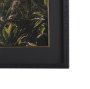 16316 - Princeville Kauai Jungle by Stefan and Audrey Textured Framed Photo Print Matted under Glass