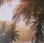16316 - Princeville Kauai Jungle by Stefan and Audrey Textured Framed Photo Print Matted under Glass