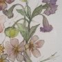 16297 - Atelier des Fleurs II by Mercana Studio Framed Artwork Matted under Glass