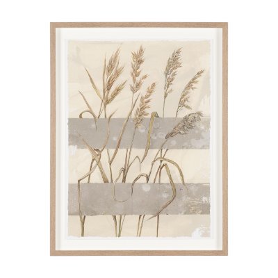 16396 - Interrupted II by Mercana Studio Framed Artwork Matted under Glass