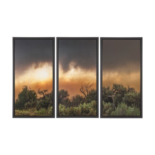 102885-FS - Rebirth by Nathan Larson Textured Framed Canvas Artwork
