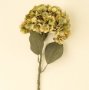 IN0364 - Faded Hydrangea Stem L, Green 