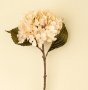 IN1640 - Hydrangea Floral Stem, Cream