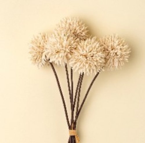 IN9439 - Mini Allium Bouquet, Cream
