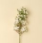 IN9440 - Delphinium Floral Stem, White 