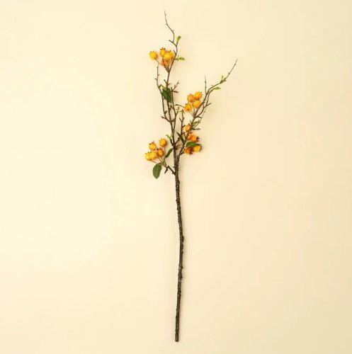 IN9525 - Rosehip Branch- Orange