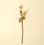 IN9525 - Rosehip Branch- Orange