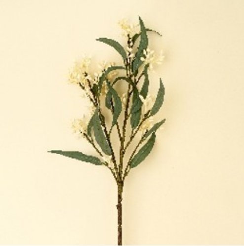 IN1615 - Flowering Eucalyptus Branch