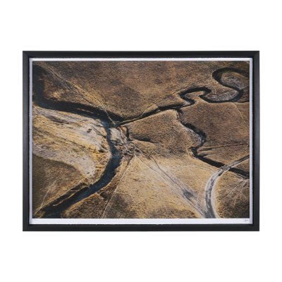 16447 - Reclaimation by Stevi Michner Textured Framed Photo Print Matted under Glass