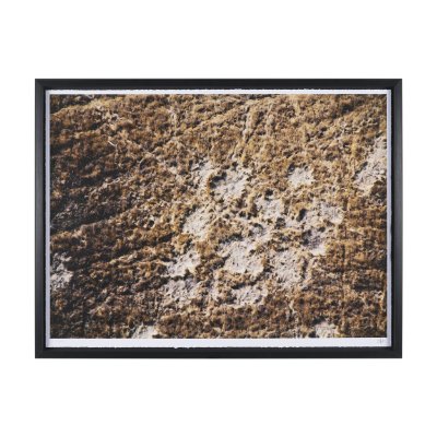 16448 - Bearing by Stevi Michner Textured Framed Photo Print Matted under Glass