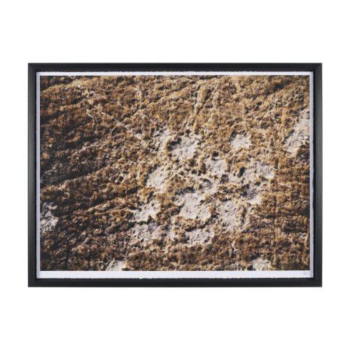 16448 - Bearing by Stevi Michner Textured Framed Photo Print Matted under Glass
