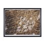 16448 - Bearing by Stevi Michner Textured Framed Photo Print Matted under Glass