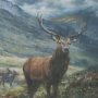 16313 - Highland by Mercana Studio (Set of 5)