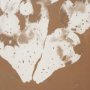 16362 - Solar Cactus - Sienna by Nick Simon Hand-Embellished Textured Framed Artwork Matted under Glass