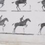 16375 - Running & Jumping by Mercana Studio Hand-Embellished Framed Artwork Matted under Glass