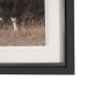 16376 - The Painted Herd by Chad Mackay Textured Framed Photo Print Matted under Glass