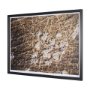 16448 - Bearing by Stevi Michner Textured Framed Photo Print Matted under Glass